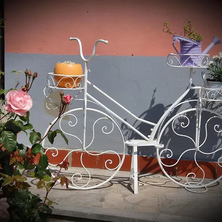 Apartment Bazilika Secovlje