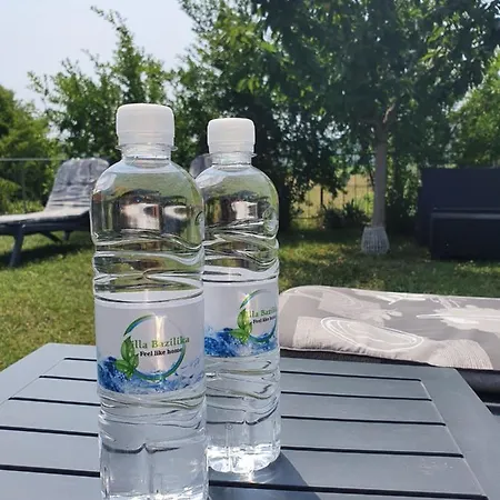 Bazilika * Secovlje