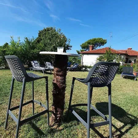 Bazilika