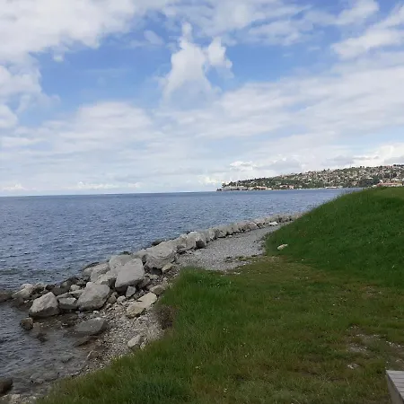 Bazilika Apartament