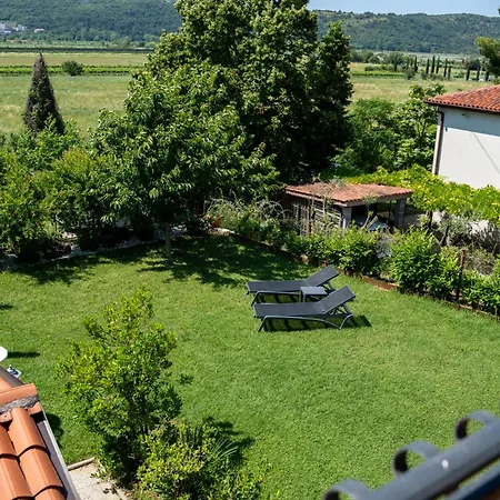 Bazilika Apartment