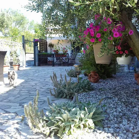 Bazilika Apartment