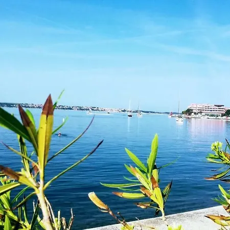 Apartament Bazilika