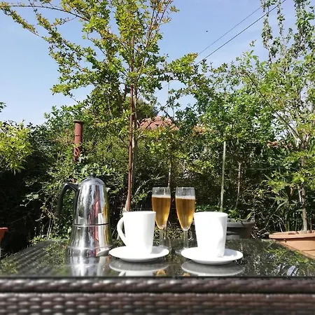 Bazilika Secovlje